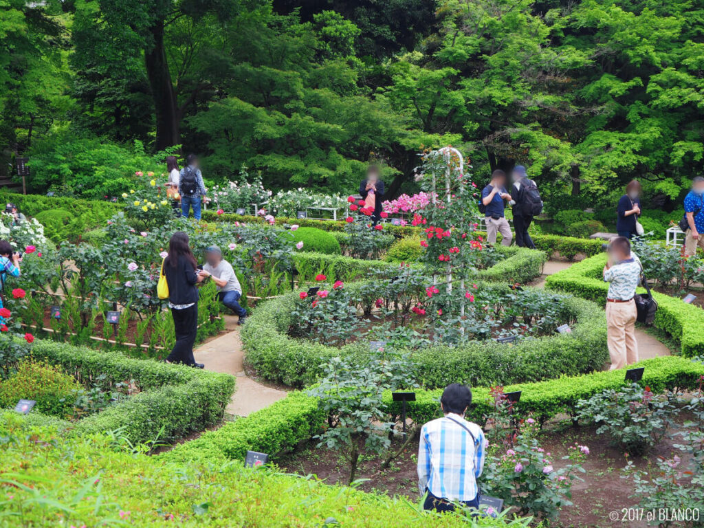 旧古河庭園