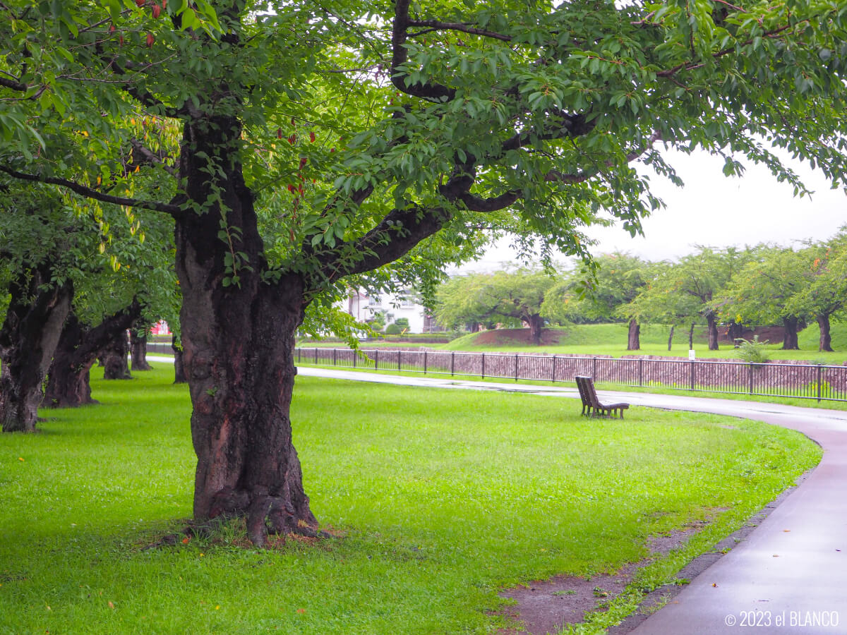 五稜郭公園