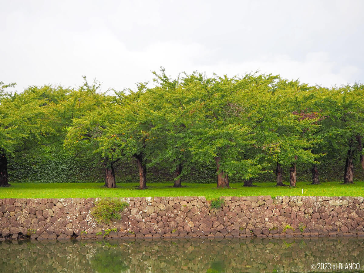 五稜郭公園